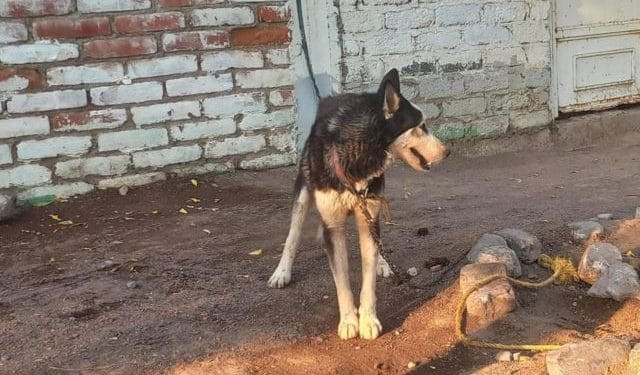 Aparatoso choque en Morelia