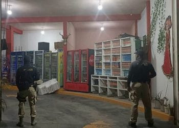Inicia FGE Carpeta de Investigación contra presunto responsable de tener 2 pericos verdes si permiso