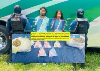 Guardia Civil protege arribo de tortugas marinas en Aquila