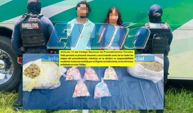 Guardia Civil protege arribo de tortugas marinas en Aquila