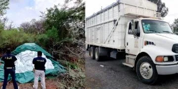 Invita Ssm A Donar Sangre Para Ayudar A Niñas Y Niños Con Cáncer