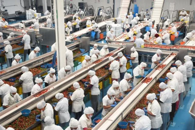 Ssm Exhorta A Hombres A Fomentar El Autocuidado Para Prevenir Enfermedades