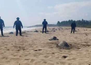 Aprueban Ombudspersons Del País, Proponer Creación De Un Sistema Integral De Búsqueda De Violadores De Derechos Humanos