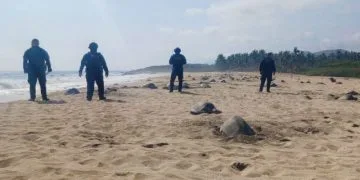 Aprueban Ombudspersons Del País, Proponer Creación De Un Sistema Integral De Búsqueda De Violadores De Derechos Humanos