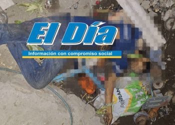 Guardia Civil Protege Arribo De Tortugas Marinas En Aquila