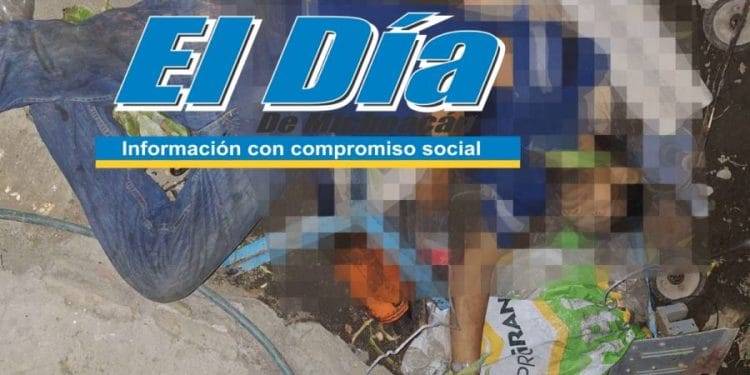 Guardia Civil protege arribo de tortugas marinas en Aquila