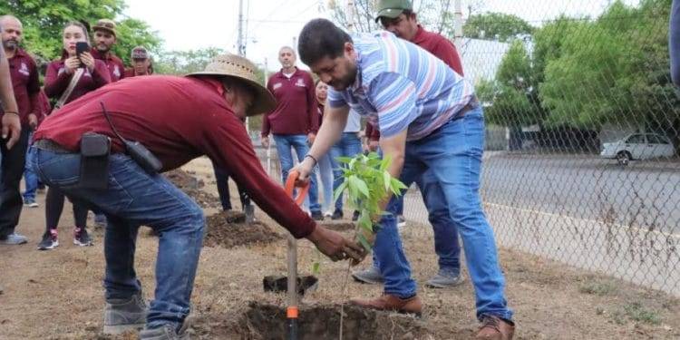 En Apatzingán, gobierno plantan 400 árboles en la Unidad Deportiva