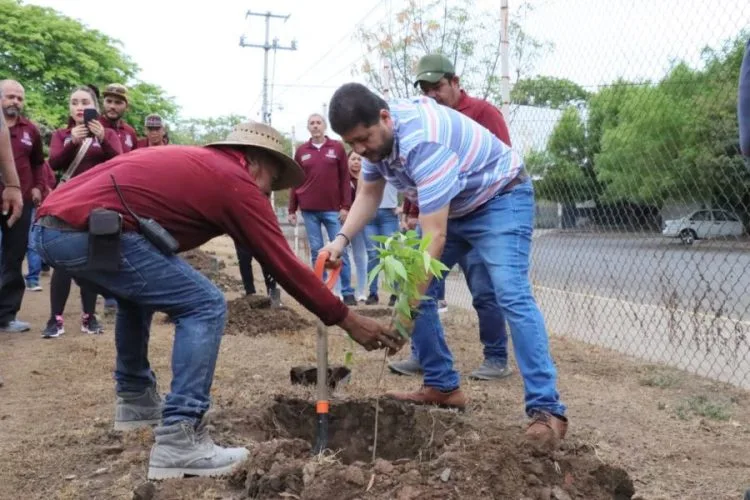 En Apatzingán, Gobierno Plantan 400 Árboles En La Unidad Deportiva
