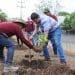 En Apatzingán, Gobierno Plantan 400 Árboles En La Unidad Deportiva