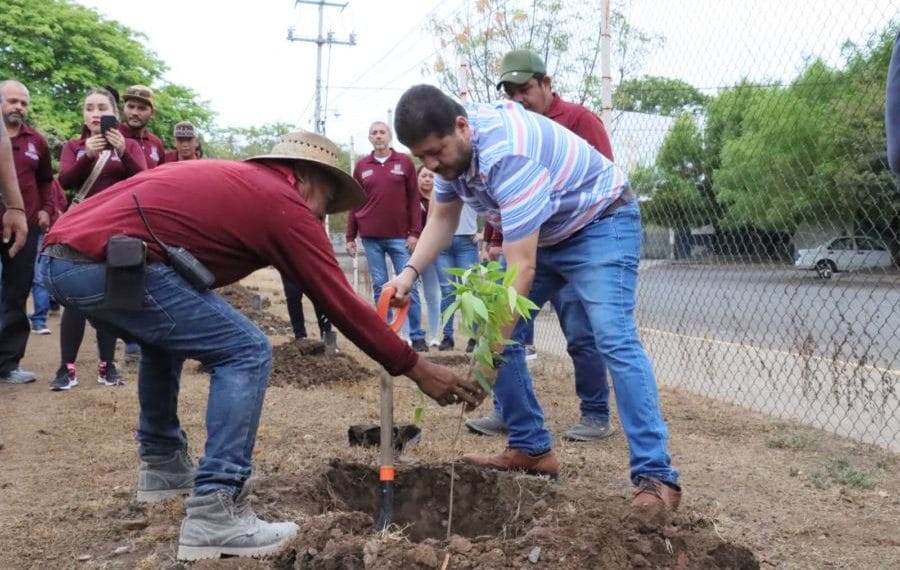 Plantan Arboles Unidad Deportiva Apatzingan | El Día de Michoacán