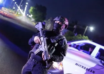 Inicia Fge Carpeta De Investigación Contra Presunto Responsable De Tener 2 Pericos Verdes Si Permiso