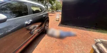 Distribuyen Despensas Para Comerciantes Y Trabajadores Afectados Por Incendio En El Mercado