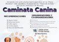 Anuncian Caminata Canina - El Día De Michoacán