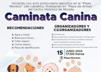 Anuncian Caminata Canina - El Día De Michoacán