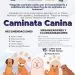 Para Visibilizar Los Derechos De Los Animales No Humanos, Anuncian Caminata Canina