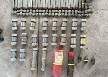 Inicia FGE Carpeta de Investigación contra presunto responsable de tener 2 pericos verdes si permiso