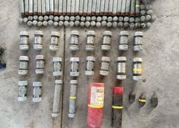 Inicia Fge Carpeta De Investigación Contra Presunto Responsable De Tener 2 Pericos Verdes Si Permiso