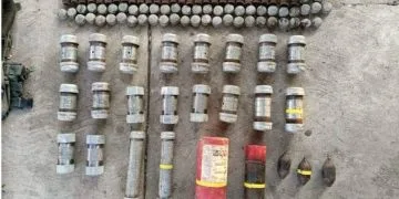 Inicia Fge Carpeta De Investigación Contra Presunto Responsable De Tener 2 Pericos Verdes Si Permiso