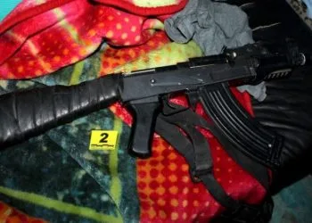 Inicia Fge Carpeta De Investigación Contra Presunto Responsable De Tener 2 Pericos Verdes Si Permiso