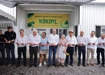 Cotija celebra su primer año como Pueblo Mágico