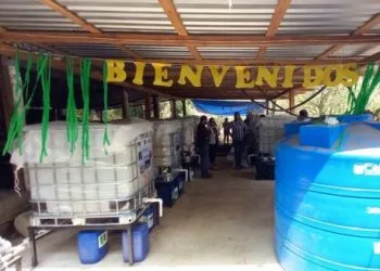 Declaran Cero Tolerancia Al Acoso Sexual En Escuelas De Michoacán