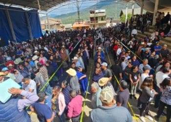 Michoacán ha exportado más de 70 mil toneladas de mango