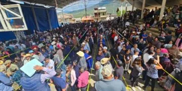 Michoacán Ha Exportado Más De 70 Mil Toneladas De Mango