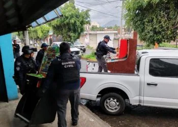 Proyectan Liberar 2 Millones De Tortugas Marinas