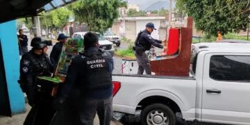 Proyectan Liberar 2 Millones De Tortugas Marinas