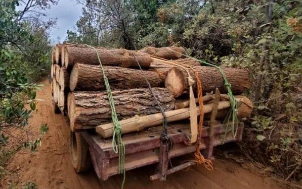 No Va A Haber Nuevos Impuestos: Claudia Sheinbaum