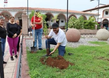 Inicia campaña de reforestación en Apatzingán