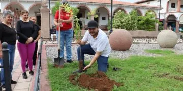 Inicia Campaña De Reforestación En Apatzingán