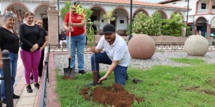 Inicia campaña de reforestación en Apatzingán 1 Inicia campaña de reforestación en Apatzingán