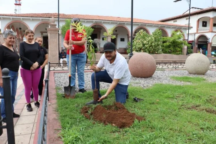 Inicia Campaña De Reforestación En Apatzingán