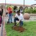 Inicia Campaña De Reforestación En Apatzingán