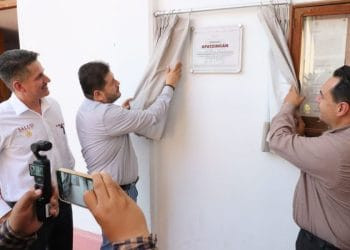 Proyectan Liberar 2 Millones De Tortugas Marinas
