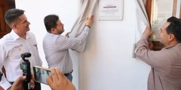 Proyectan Liberar 2 Millones De Tortugas Marinas