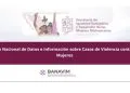 Conoce La Plataforma Que Registra Casos De Violencia Contra Las Mujeres 29 Conoce La Plataforma Que Registra Casos De Violencia Contra Las Mujeres