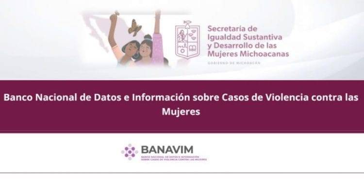 Conoce la plataforma que registra casos de violencia contra las mujeres