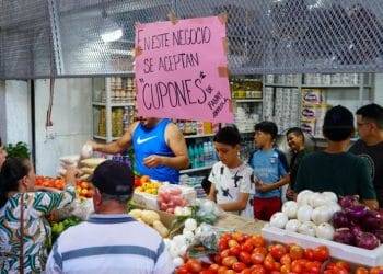 Cumplimenta FGE orden de cateo en predio relacionado en delitos contra el ambiente