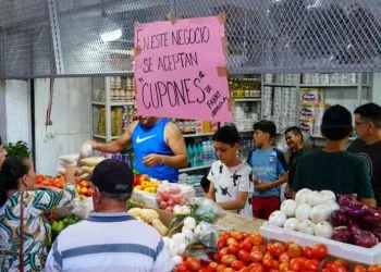 Cumplimenta Fge Orden De Cateo En Predio Relacionado En Delitos Contra El Ambiente