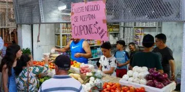 Con Entrega De Vales, Fanny Arreola Impulsa Economía Y Apoya A Locatarios Del Mercado Municipal 23 Cumplimenta Fge Orden De Cateo En Predio Relacionado En Delitos Contra El Ambiente