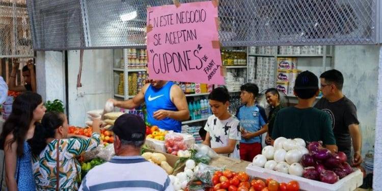 Cumplimenta FGE orden de cateo en predio relacionado en delitos contra el ambiente