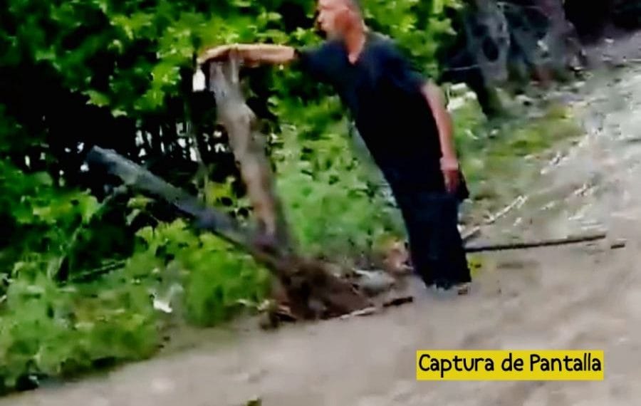 Heroe Salva la vida a dos menores | El Día de Michoacán