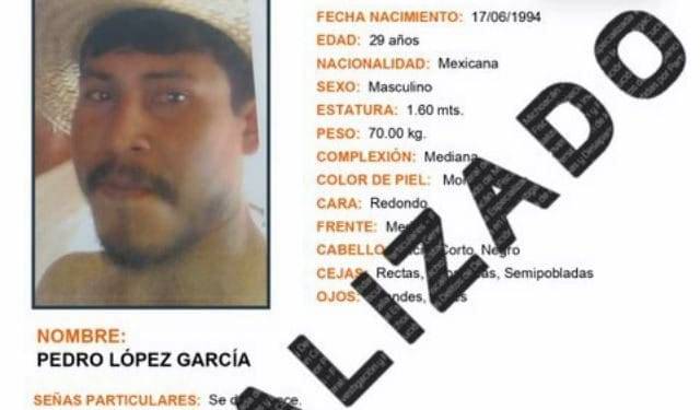 Sedeco multa a 2 empresas aguacateras