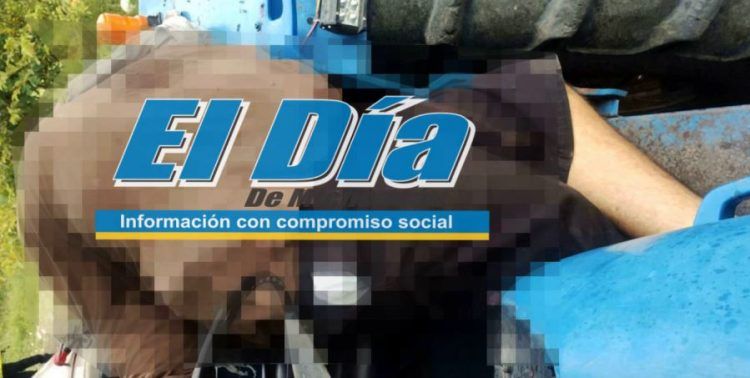 Ejecutan A Tractorista En Chichuato De Buenavista 20 Tres Policías Municipales Heridos En Choque De Patrulla Contra Árbol En Zamora