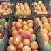 Michoacán Ha Exportado Más De 70 Mil Toneladas De Mango