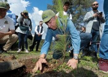 Brinda PC estatal apoyo a habitantes de colonia Prados Verdes