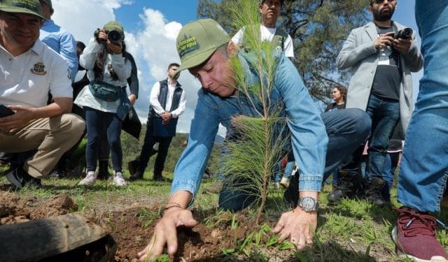 La restauración de la naturaleza es un estilo de vida y no una ocurrencia: Navarro García 1 Brinda PC estatal apoyo a habitantes de colonia Prados Verdes