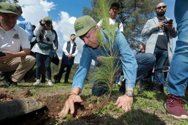 La Restauración De La Naturaleza Es Un Estilo De Vida Y No Una Ocurrencia: Navarro García 20 Brinda Pc Estatal Apoyo A Habitantes De Colonia Prados Verdes